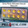 Gros Pénis Stimulant Sexuel Masculin new11